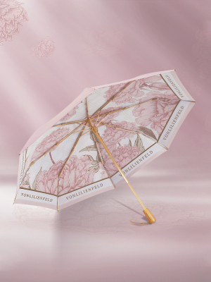 Vonlilienfeld双层遮阳伞，遮阳伞，遮阳伞，遮阳伞，遮阳伞，遮