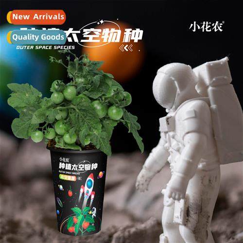 Science experiments children planting pots kindergarten obse