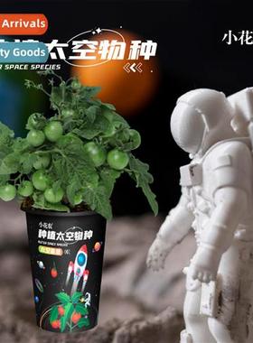 Science experiments children planting pots kindergarten obse