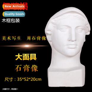 Large Mask Plaster Portra Sketching Still Life Sketching Fig