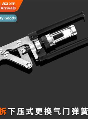 No-Disassembly Downward Pressure Vanier Pliers Valve Spring