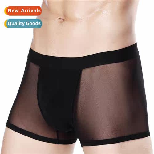 Zhengsheng summer mens mesh transparent boxer briefs sexy me