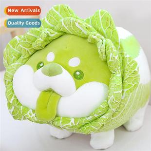 dog plush doll Sete cute cabbage ugly vegetable