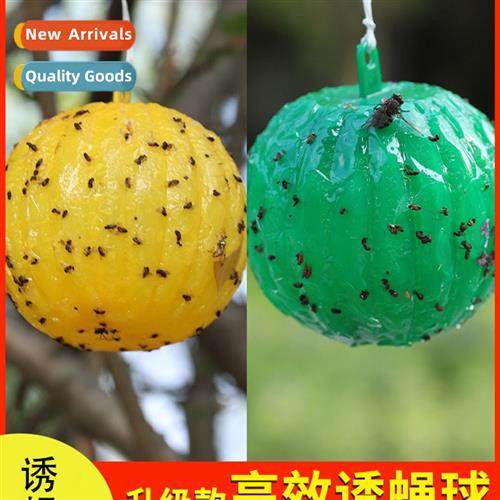Fru fly traps to eliminate small flying insects gods kchen t