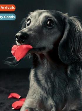 Cross Stch New DIY Black Dog Full Stch Simple Hmade Cross St