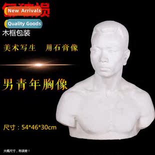 Brt male youth bust plaster head art supplies art exam sketc