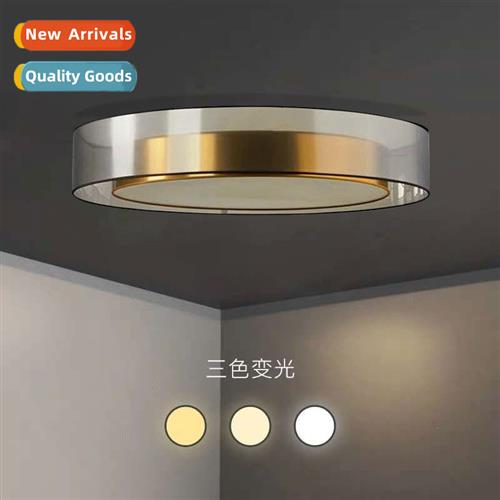 Scinavian light luxury living room ceiling light master bedr