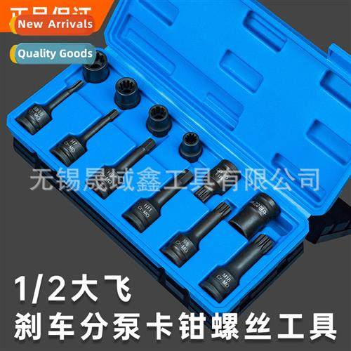 Volkswagen Audi Cayenne Mercedes brake caliper sub-pump scre