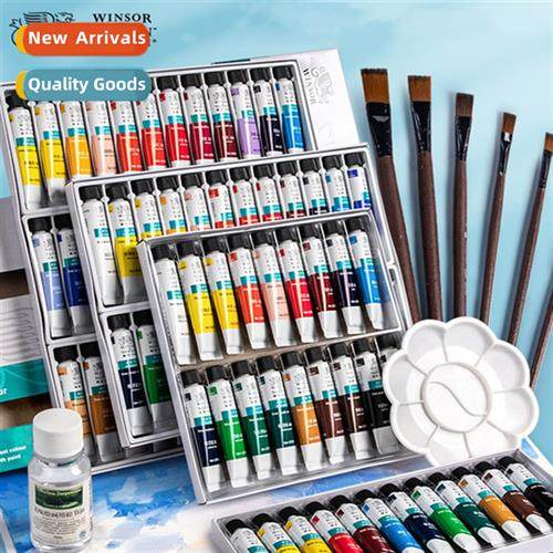 Windsor Newt Acrylic Paint 12 Color Set 10ml Art Wall Painti