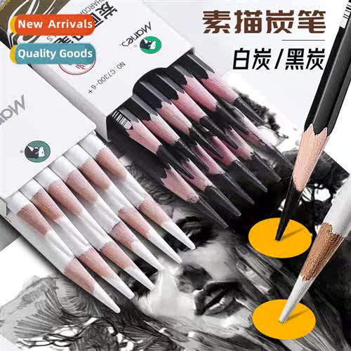 Whe charcoal pencil for art students whe high gloss black sk