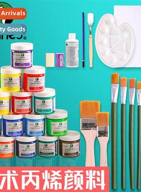 Acrylic paint set tools fluid painting wall painting waterpr
