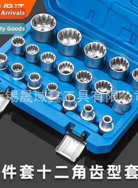 19- set  12-angle plum blossom tood socket head electric rat