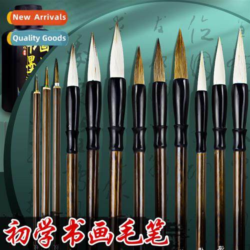 Brushes parnocarpus sheep  wolf  brush beginners beginner st