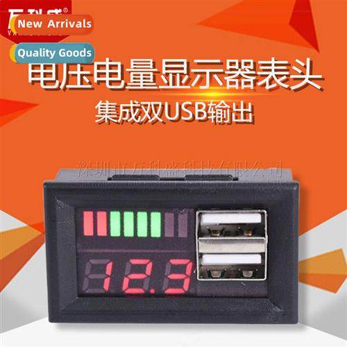Car 12V Battery Voltage Display Meter Head Dual USB Output 5
