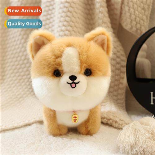 Puppy doll plush toy husky doll Corgi cloth doll simulati an