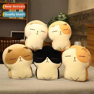 carto toast chubby expressi cute toys plush cat bread Cute