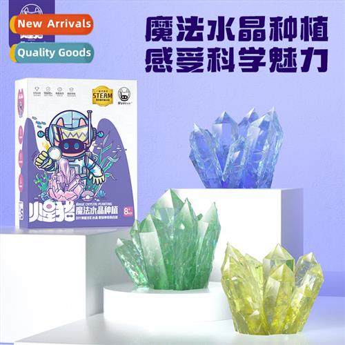 Mars Pig Children Growing Crystals Science Experiment Set Hm