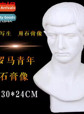 Brt Plaster Teaching Aids Plaster Plaster Statue Plaster Hea