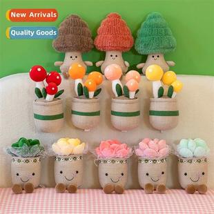 tulips potted lerary smiley greene Simulati succulent plants