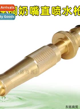 Pure copper household nipple  spray water gun water column s