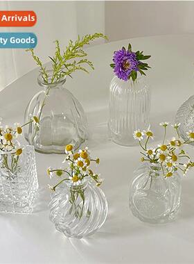 Home living room mini vase ins wind transparent hydropic flo