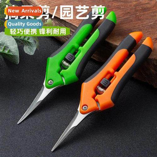 Blue Scissors, Gardening Shears