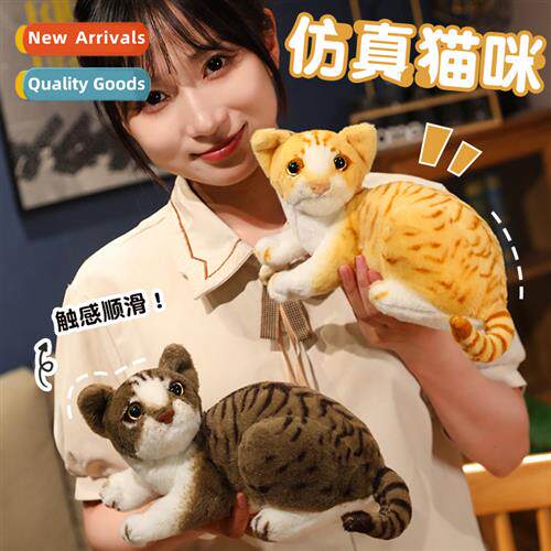Simulated Cat Doll Puppy Puppy Cat Doll Puppy Cat Plush Toy