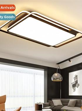 Living room light LED ceiling lamp modern simple lamps  lant