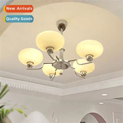 French antique living room chelier main light Bauhaus light