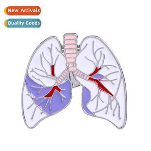 New Europe and  Uned States heart human organs lung brooch e