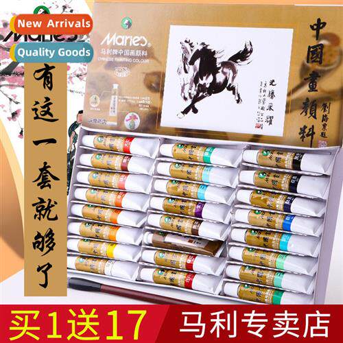 Chinese Painting Pigment Tools Set Beginner Brush Introducto