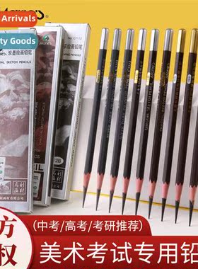 Sketching Pencils Artisan Artist Complete Charcoal Pencils E