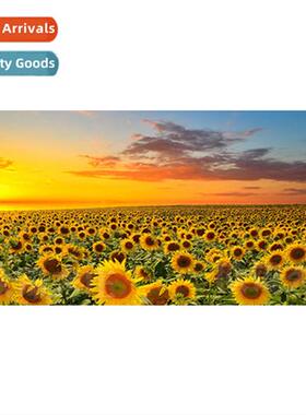 Diamd painting new DIY sunflower drill round diamd h-pasted