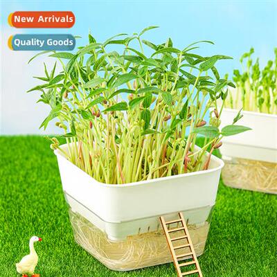 Bean Sprout Planting Tray Seeds Seeds Soilless Planting Hydr