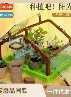 Ketta Duck Planting Bar Sunroom Kids Plant Observati Window