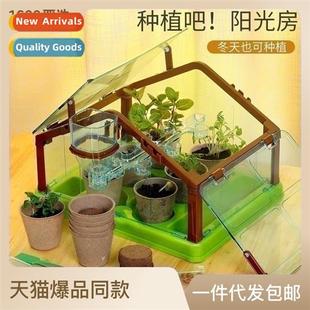 Bar Sunroom Kids Ketta Observati Planting Plant Window Duck