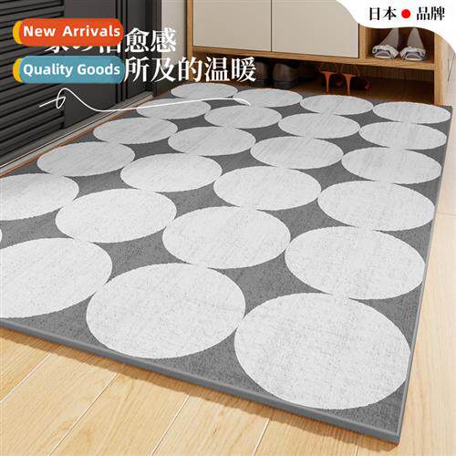 Modern Entry Door Floor Mats Entry Foot Mats Carpet Doorway