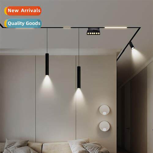 Magnetic track light whout bezel recessed ccealed living roo