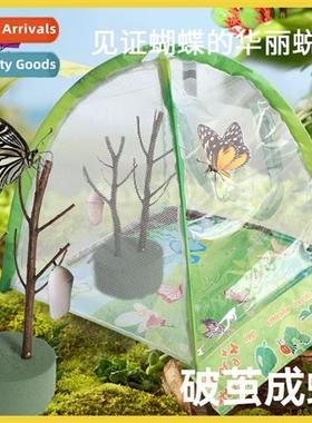 Butterfly chrysalis hatchable egg coco collapsible anti-mosq