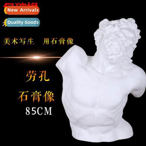 Brt Laoco Bust Plaster Head Plaster Plaster Teaching Aids Pl