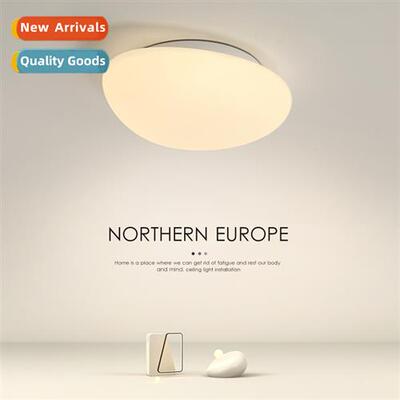 Led ceiling light pebble classic aisle entry balcy bedroom l