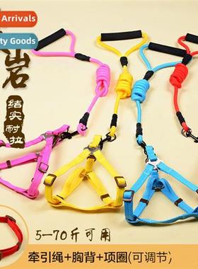 Pet Leash 3 Piece Dog Collar Adult Dog Chest Harness Dog Wal