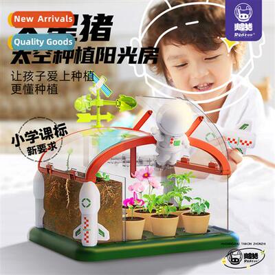 Mars pig sunroom planting childrens blind box elementary stu