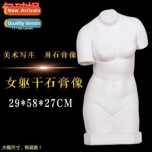 Brt girl torso plaster figure plaster head art teaching aids