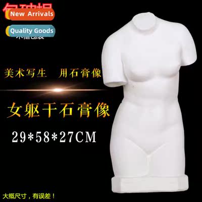 Brt girl torso plaster figure plaster head art teaching aids