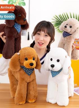 Genuine teddy dog doll poodle plush toys plop dog girls birt