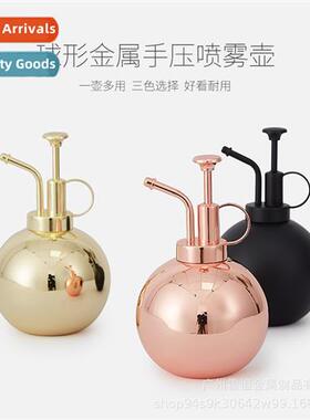 Stainless steel watering can household watering can mini spr