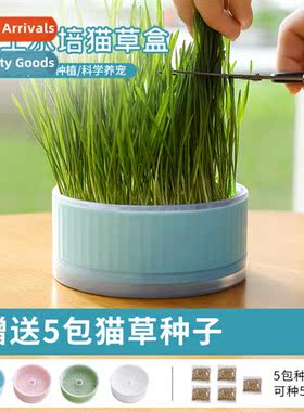 Cat Grass Bowl Shape Roman Pattern Soilless Hydropic Growing