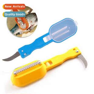 Scale Kchen Brush Scaler Gadge Family Fish