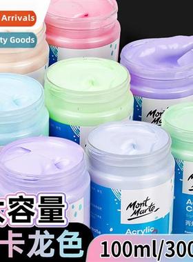 Acrylic paint macar color diy large bottle  h-painted waterp